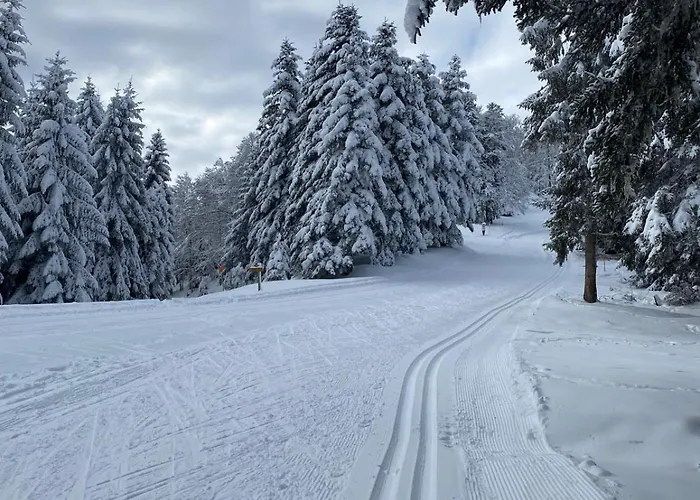 La Maison Garrap - Grande Capacite 13 Pers - 6 - Vue Montagne *