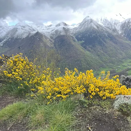Feriehus La Maison Garrap Dans Le Val D'azun *