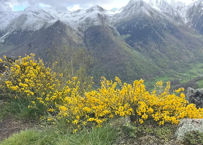 別荘 La Maison Garrap - Grande Capacite 13 Pers - 6 - Vue Montagne *